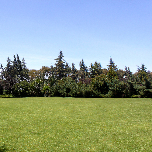 image08