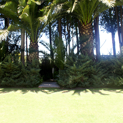 image05